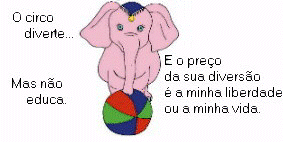 circo1.gif (16245 bytes)