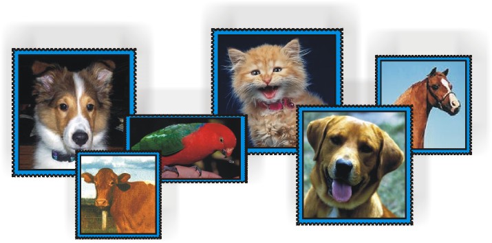 Grupo Animais Dom�sticos