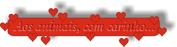 Com carinho...