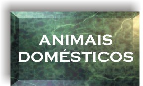 Dom�sticos