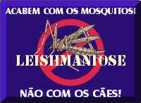 Leishmaniose (Lenita)