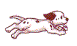 D�lmata