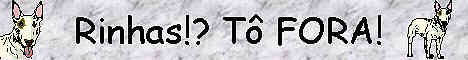 banner1