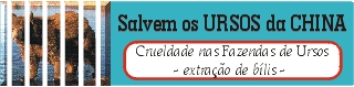 banner6