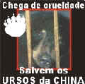 Ursos da China 2 (Lenita)