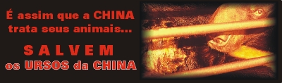 Ursos da china1 (Lenita)