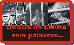 ursosdachina3menor.jpg (41559 bytes)