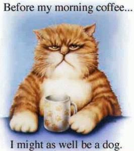 "Coffeecat"