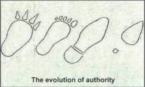 Evolution of authority