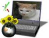 Tortilla and family picture album