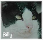 Reverend Sir Billy Jefferson Hosea