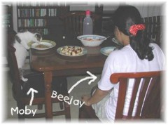 Beejay having supper with Moby