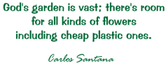 God's garden is vast; there's room for all kinds of flowers including cheap plastic ones. - Carlos Santana