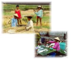 vendors, farmers