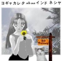 Nin