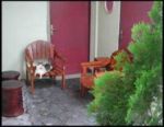 garden seats and Yogyanese crafts