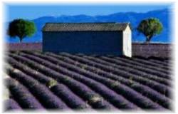 Provence, France