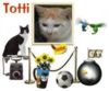 CLICK for more pix of Totti