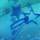 blue sakura wallpaper from Kyandii^^ wai.. so pretty! 