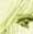 Fiesan is such a talented artist... *awe*