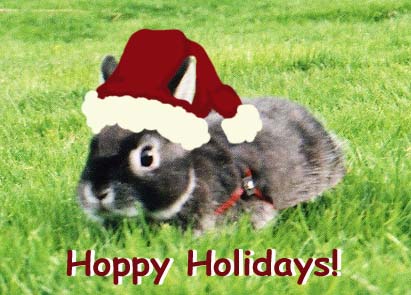 Hoppy Holidays
