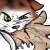 Ren's cat hated everyone. Especially me. Art by Renee Atkinson, displayed with permission.