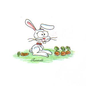 Bunny