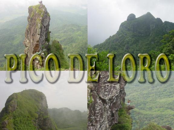 PICO_DE_LORO