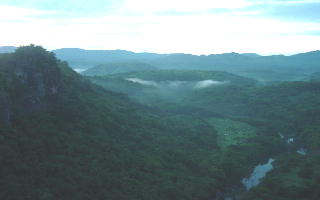 manalmon