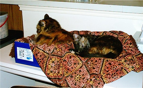 Aurora and Pandora