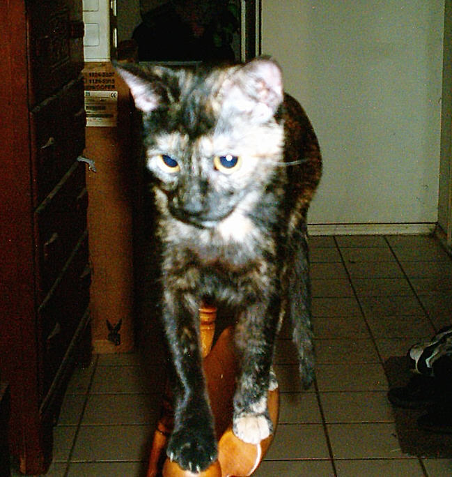 Aurora, my youngest girl