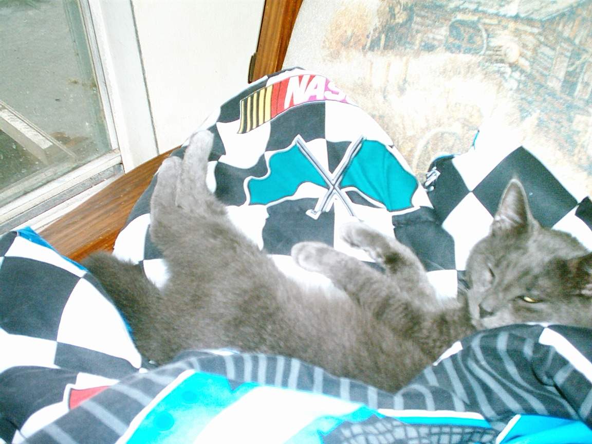 Darwin, my oldest, and only boy