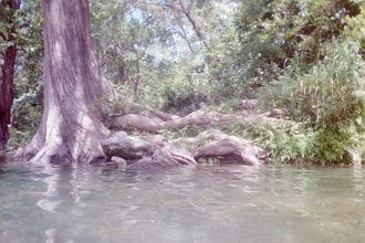Onion Creek, at The Spring in Driftwood