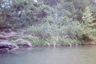 creek