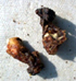 Smoked Liters