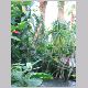 100_0087.html