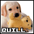QUILL - Japanese movie