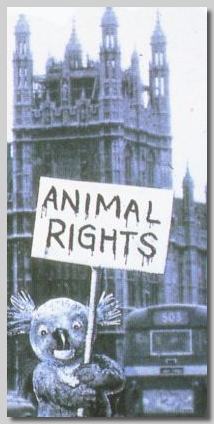 fight for animal rights!