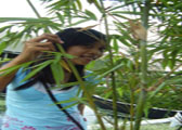 nature lover