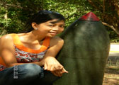 at corregidor