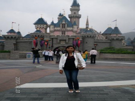the Disney castle