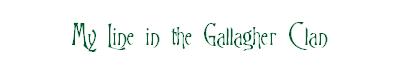 My line in the Gallagher Family