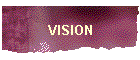 VISION