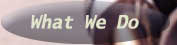 What We Do