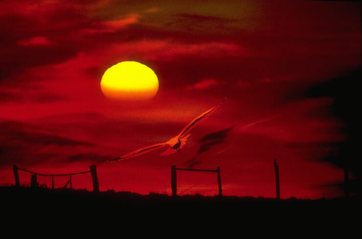 nicepicture