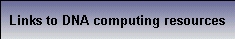 DNA computing -Attempts world wide