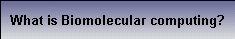 You are Here - Don't Click on this !