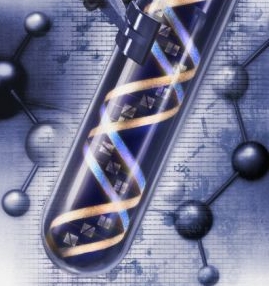 The future of computing-DNA