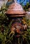 Rusted Fire fountain from Queens, New York