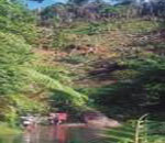 RakDell Dining Hall